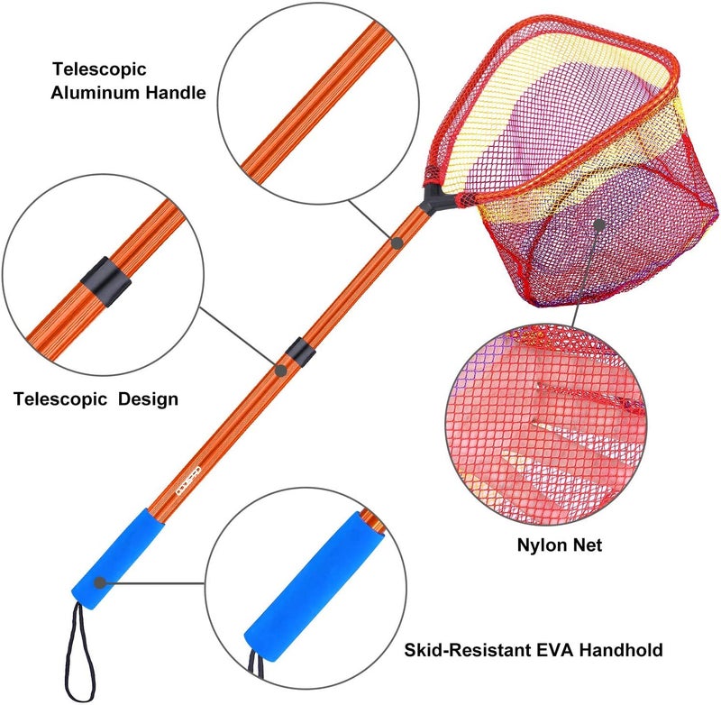 ODDSPRO Kids Fishing Net - Telescoping 11.4" Bait Net, Extends to 30" for Easy Catch and Release - Image 3